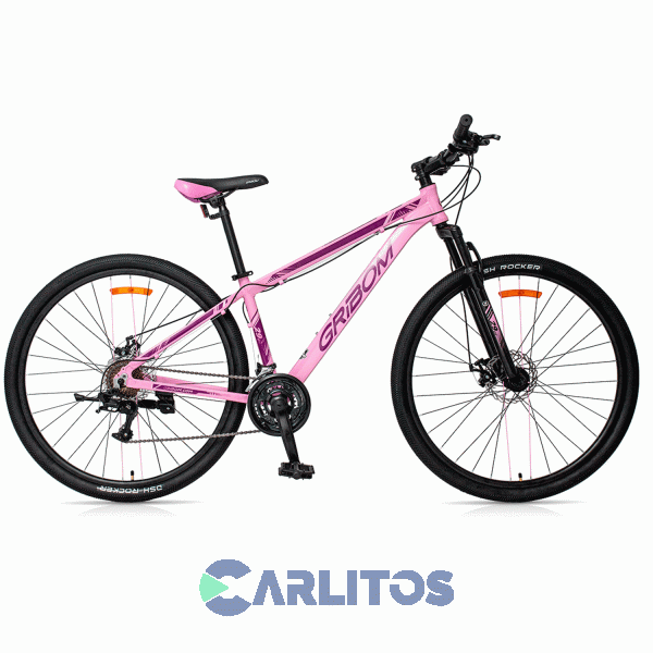 Bicicleta Gribom Todo Terreno Rod.29" Aspen Dama Con Disco 2953sd