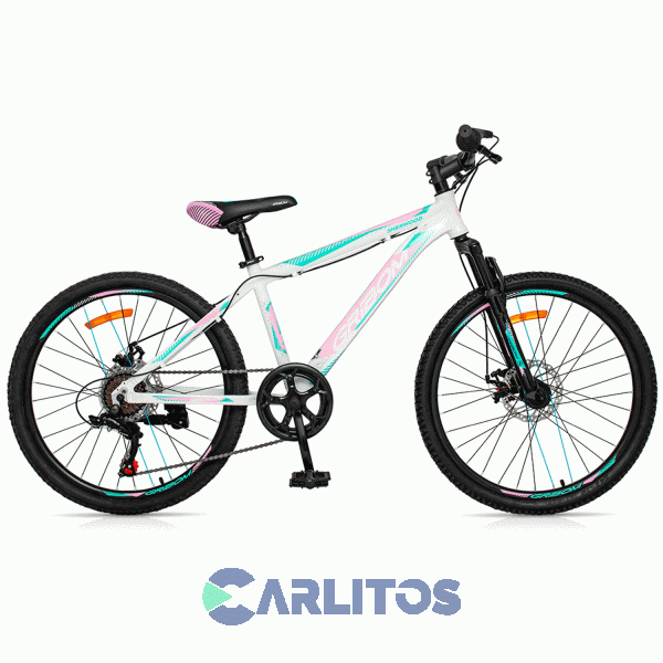 Bicicleta Gribom Todo Terreno Rod.24" Sherwood Dama Con Disco 2913d