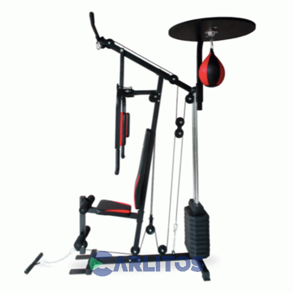 Banco de pesas plegable Randers ARG-140 - Fit Store - Equipos Fitness Hogar