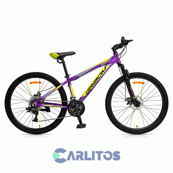 Bicicleta Gribom Todo Terreno Rod.26" Sherwood Dama Con Disco 2912xsd