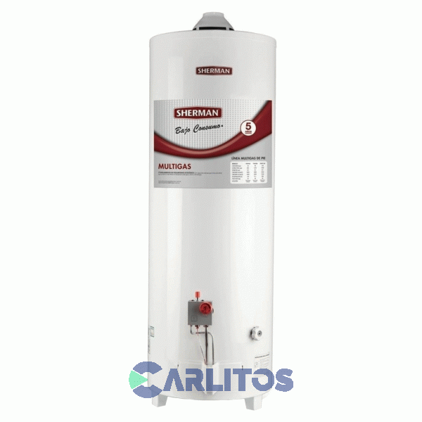 Termotanque A Gas Sherman De Pie 120 Litros - Multigas - C.Superior Tpgp120