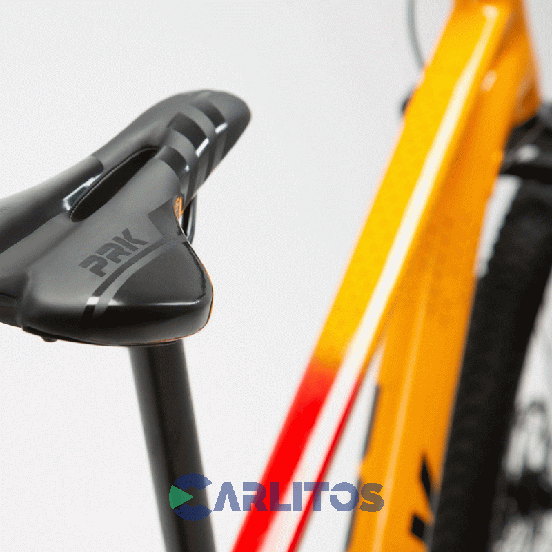Bicicleta Prk Todo Terreno Rod.29