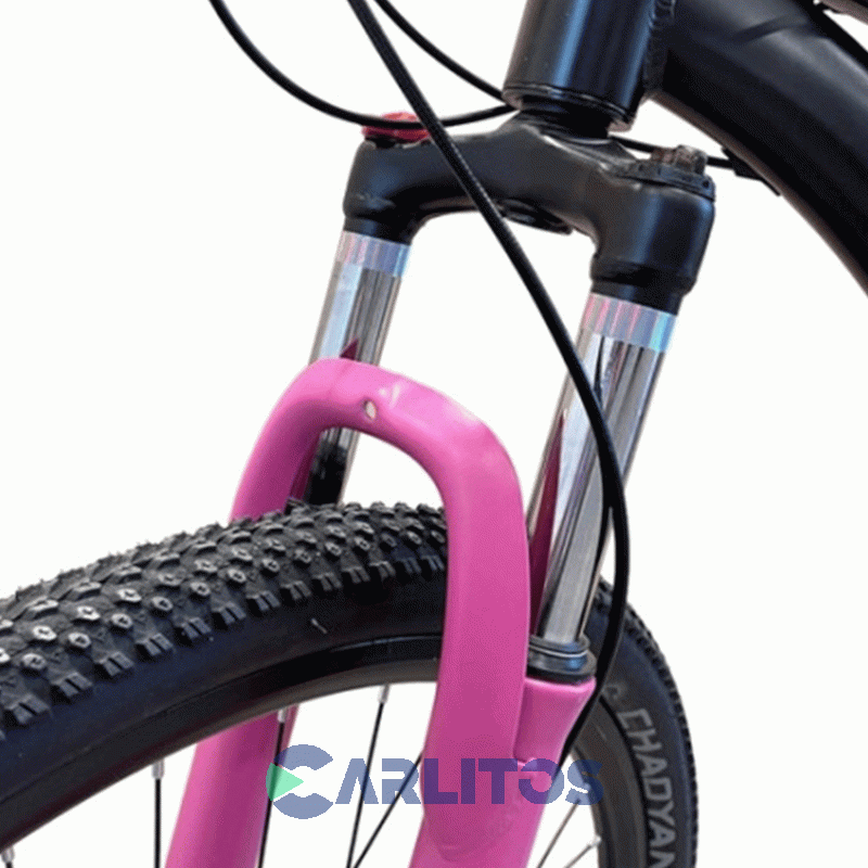 Bicicleta Randers Todo Terreno R 29