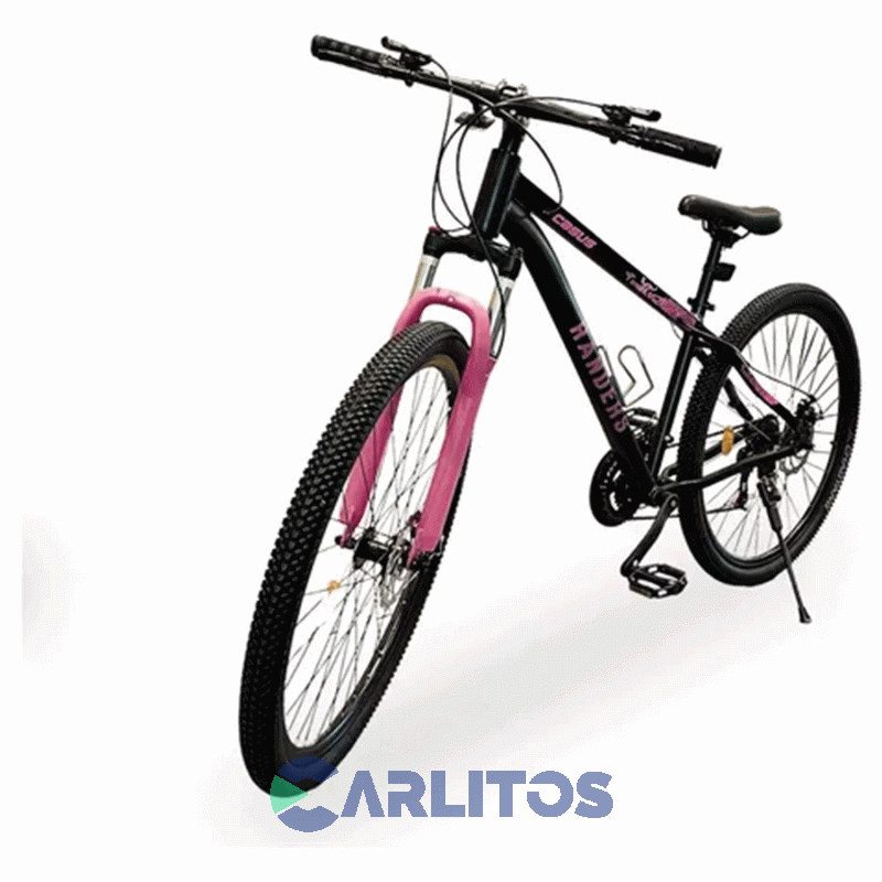 Bicicleta Randers Todo Terreno R 29