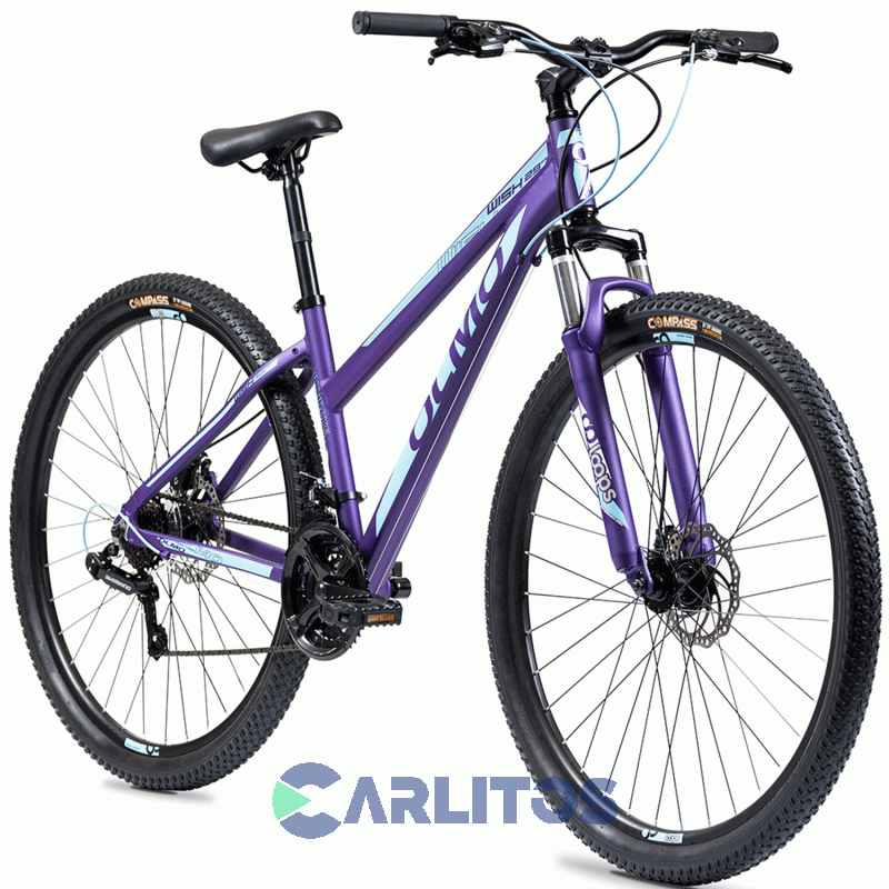 Bicicleta Olmo Todo Terreno Rod.29