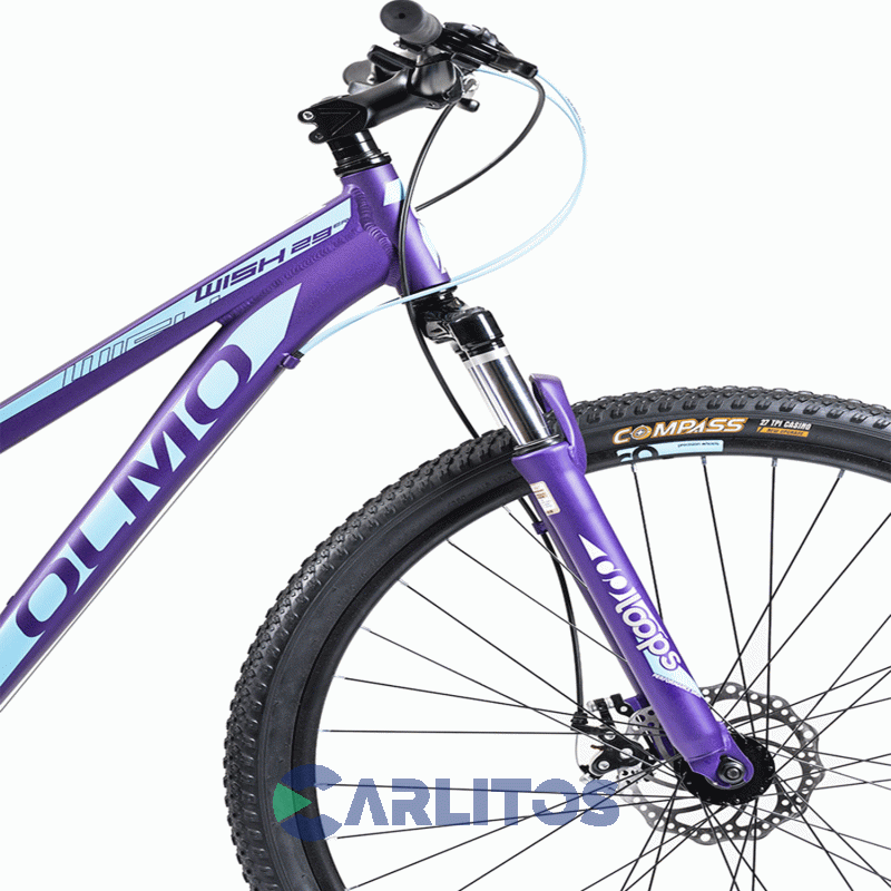 Bicicleta Olmo Todo Terreno Rod.29