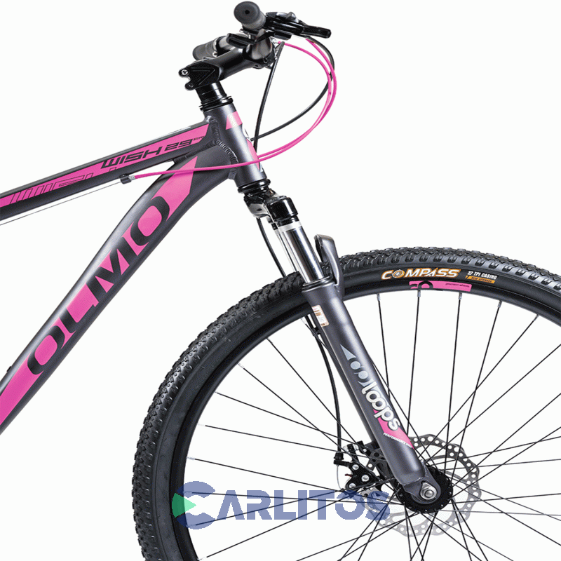 Bicicleta Olmo Todo Terreno Rod.29