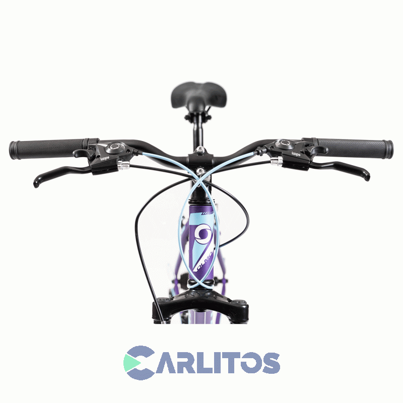 Bicicleta Olmo Todo Terreno Rod.26