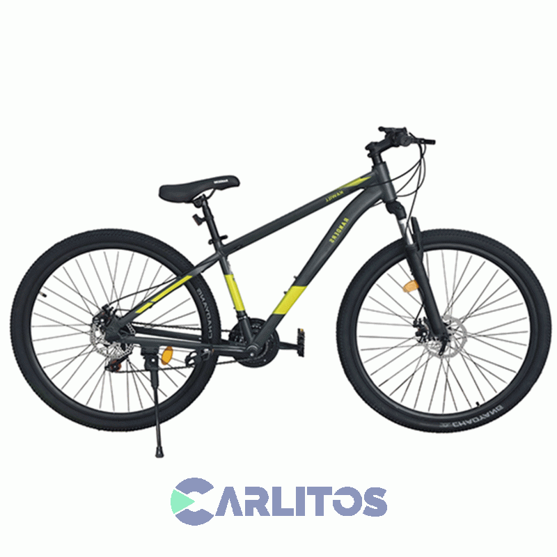 Bicicleta Randers Todo Terreno R 29