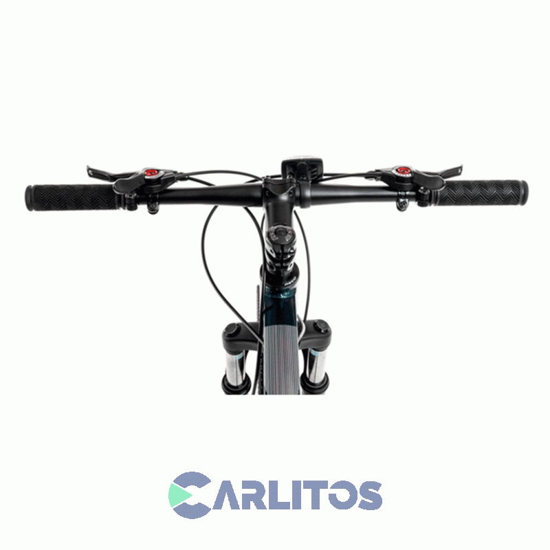 Bicicleta Randers Todo Terreno R 29