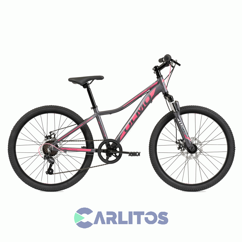 Bicicleta Olmo Todo Terreno Rod.24