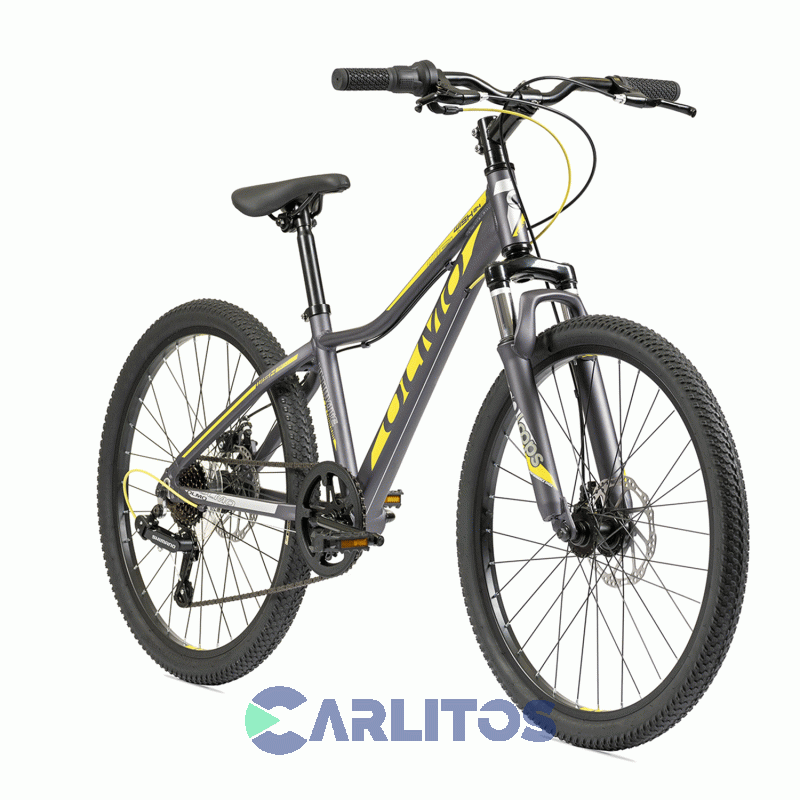 Bicicleta Olmo Todo Terreno Rod.24