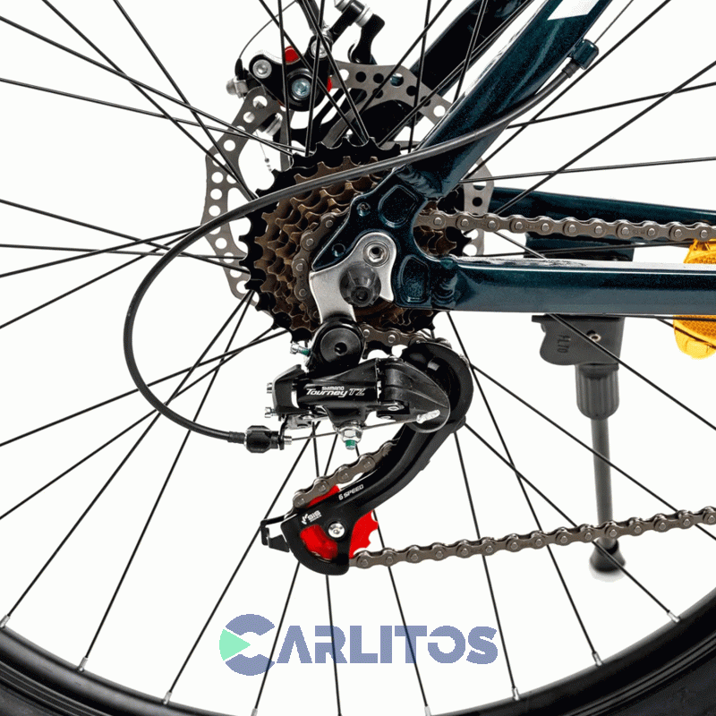 Bicicleta Randers Todo Terreno R 29