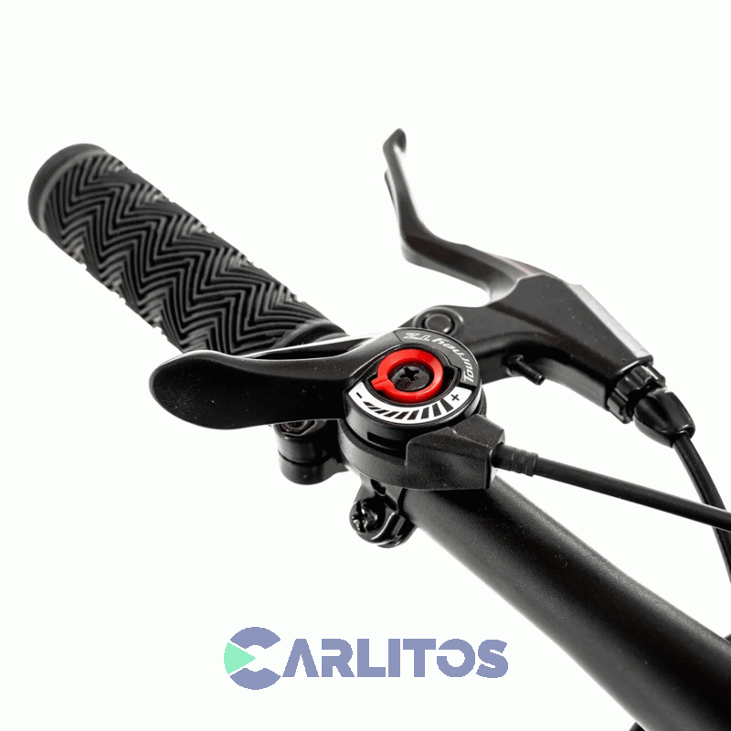 Bicicleta Randers Todo Terreno R 29 Kawill Bike-29-la -Talle L Negro Y Gris