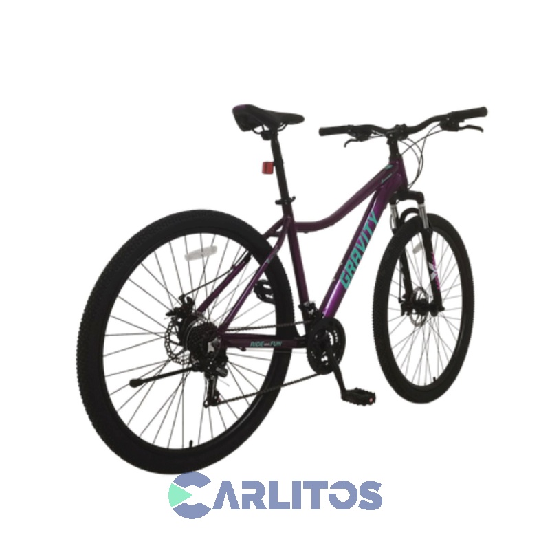 Bicicleta Todo Terreno Disco Mtb 29