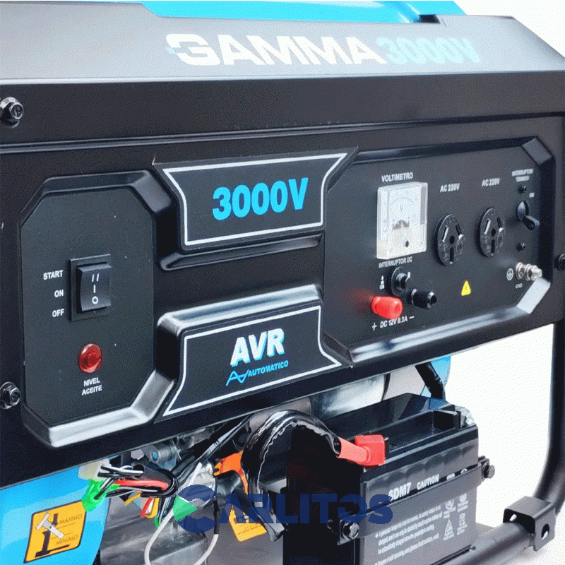Generador Electrico Gamma Monofasico 3000 Watts Ge3480ar