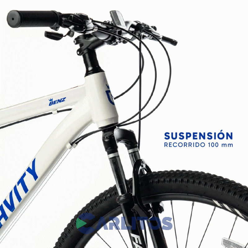 Bicicleta Todo Terreno Disco Mtb 29