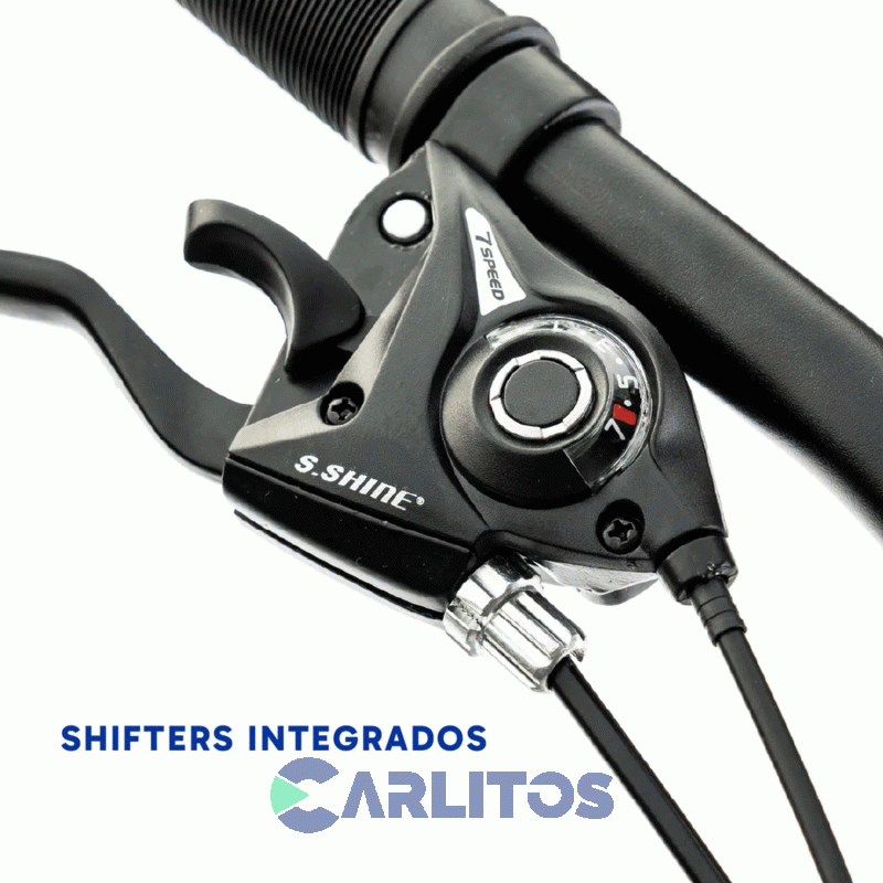 Bicicleta Todo Terreno Disco Mtb 29