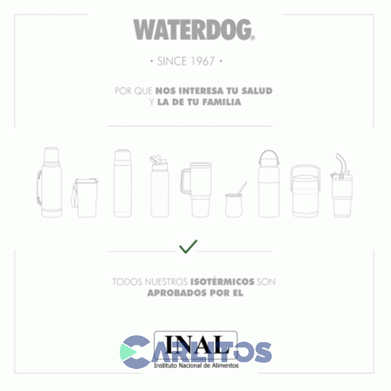 Botella De Acero Inoxidable Waterdog 600 Cc Buho600pg Verde Paraiso