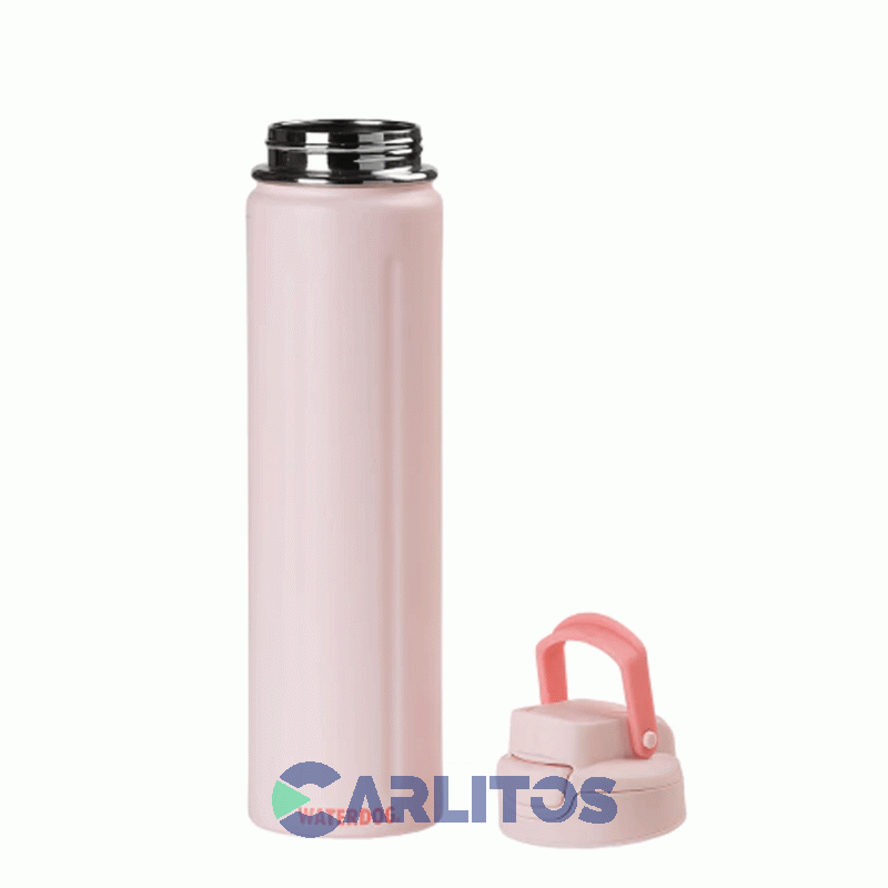 Botella De Acero Inoxidable Waterdog Acua750pk Rosa