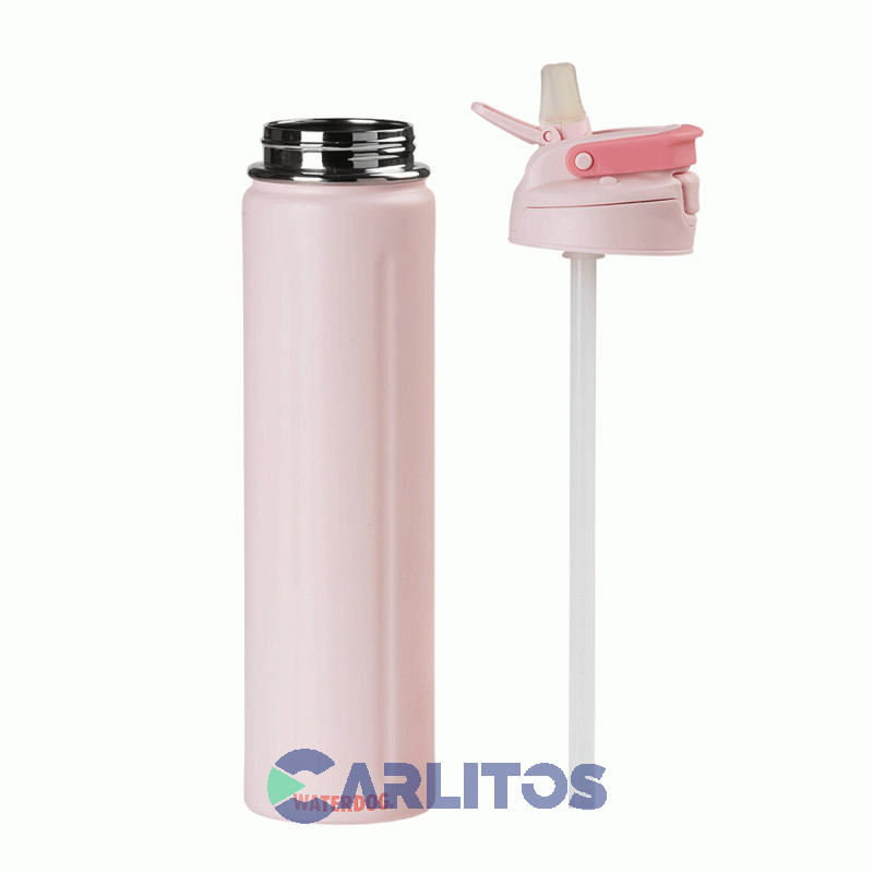 Botella De Acero Inoxidable Waterdog Acua750pk Rosa
