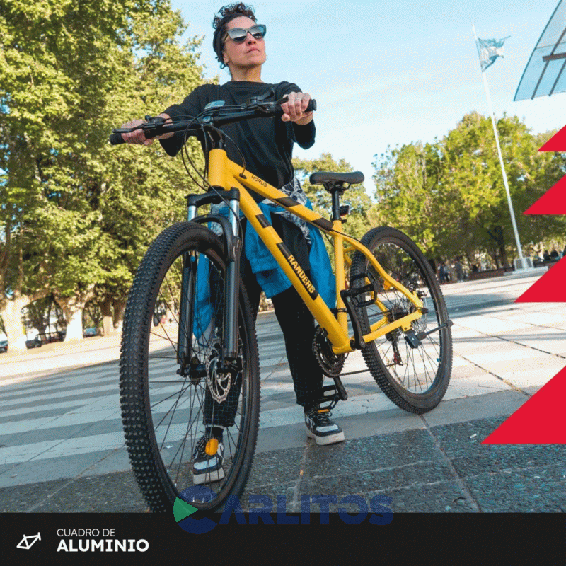 Bicicleta Randers Todo Terreno Horus Disco Mtb 29