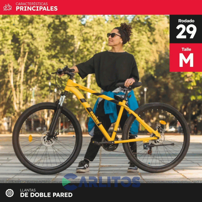 Bicicleta Randers Todo Terreno Horus Disco Mtb 29