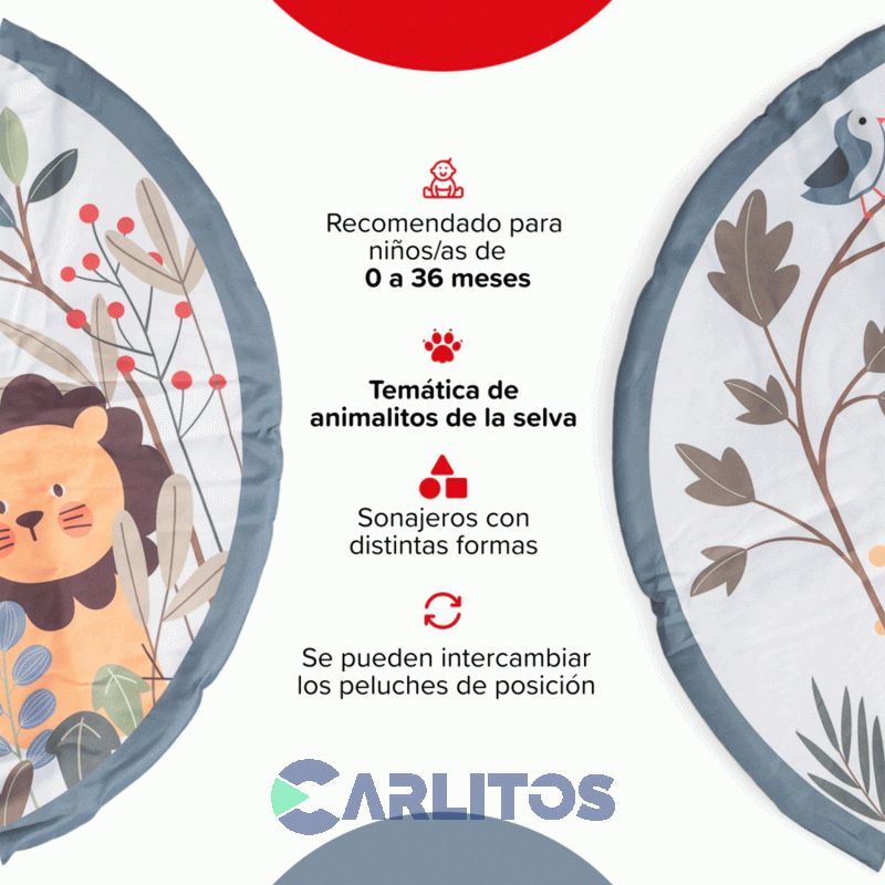 Gimnasio De Actividades Didacticas Bebesit 5010-rg Leon
