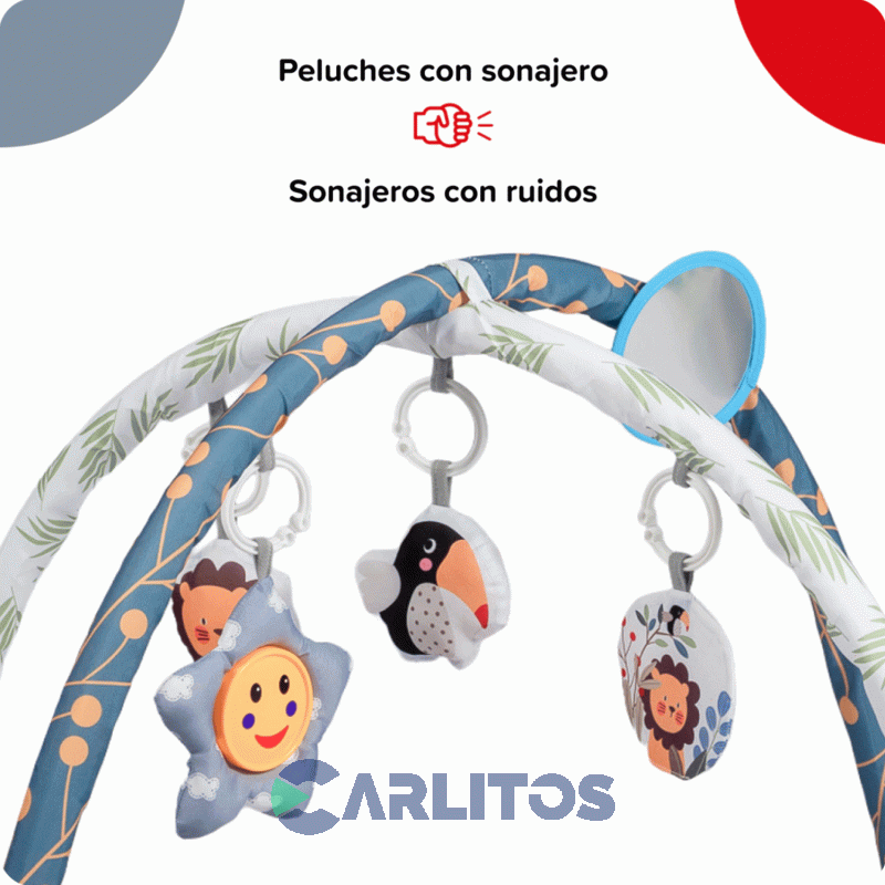 Gimnasio De Actividades Didacticas Bebesit 5010-rg Leon