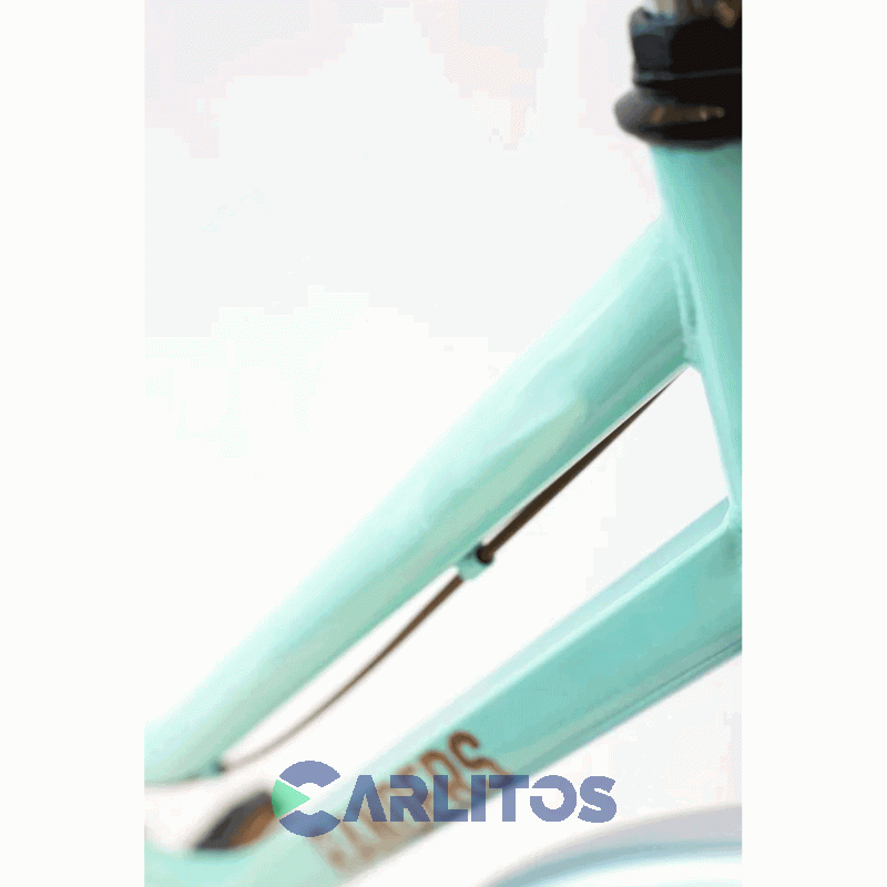 Bicicleta Randers Urbana Dama Vintage Aluminio R 26