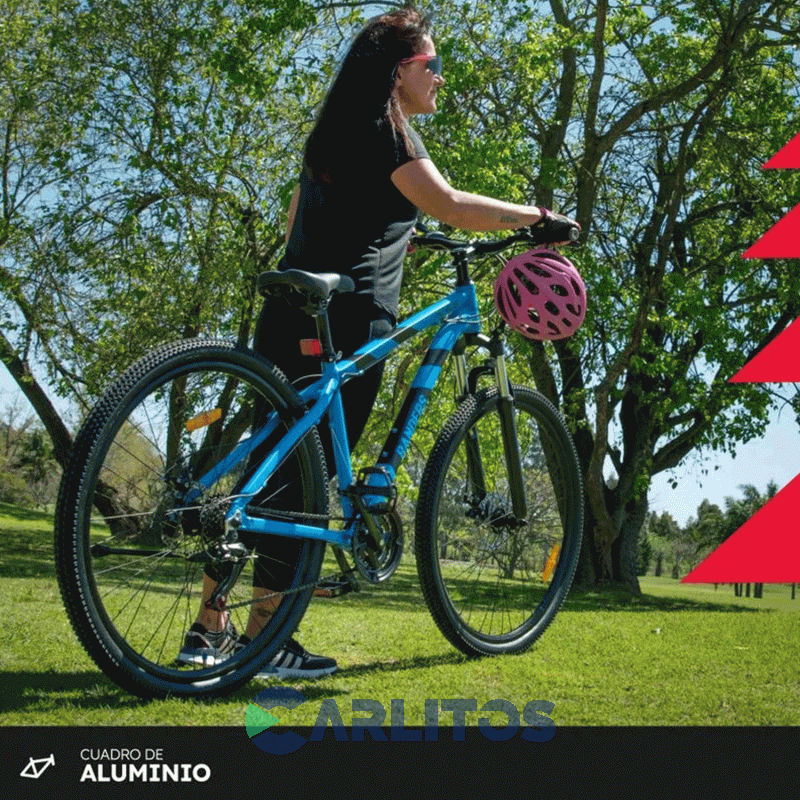 Bicicleta Randers Todo Terreno Horus Disco MTB 29