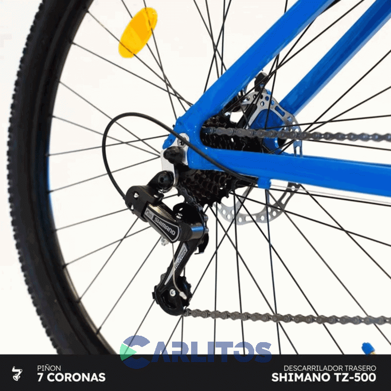Bicicleta Randers Todo Terreno Horus Disco MTB 29