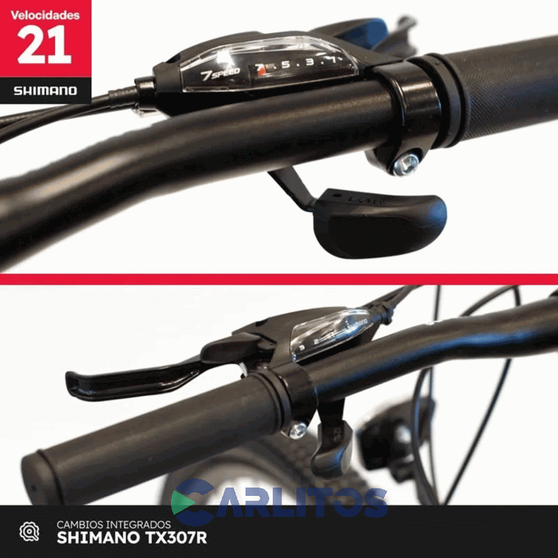 Bicicleta Randers Todo Terreno Horus Disco MTB 29