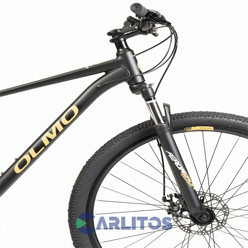 Bicicleta Olmo Todo Terreno Flash 290 R29