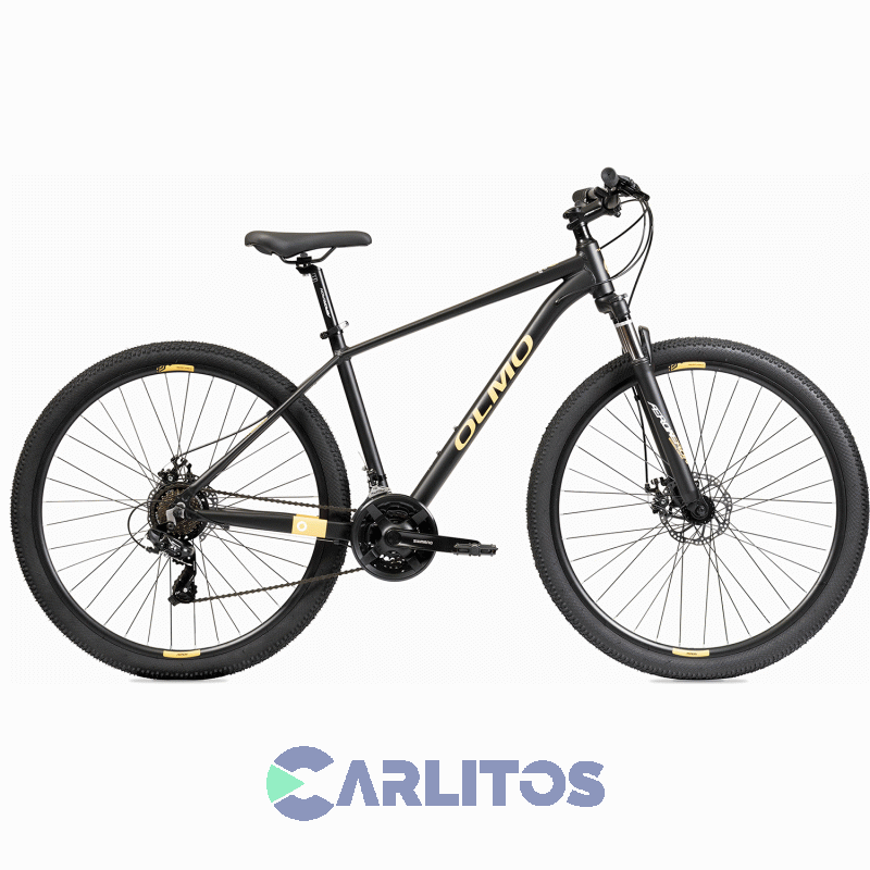 Bicicleta Olmo Todo Terreno Flash 290 R29