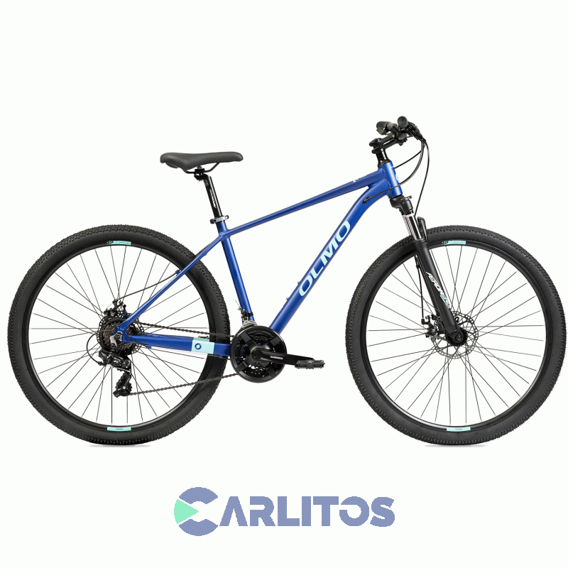 Bicicleta Olmo Todo Terreno Flash 290 R29