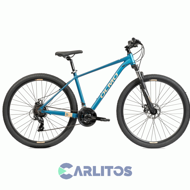 Bicicleta Olmo Todo Terreno Flash 290 R29