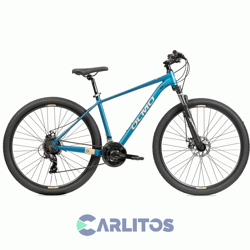 Bicicleta Olmo Todo Terreno Flash 290 R29