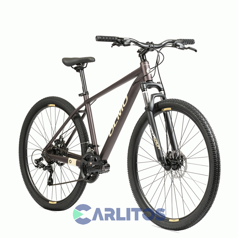 Bicicleta Olmo Todo Terreno Flash 290 R29