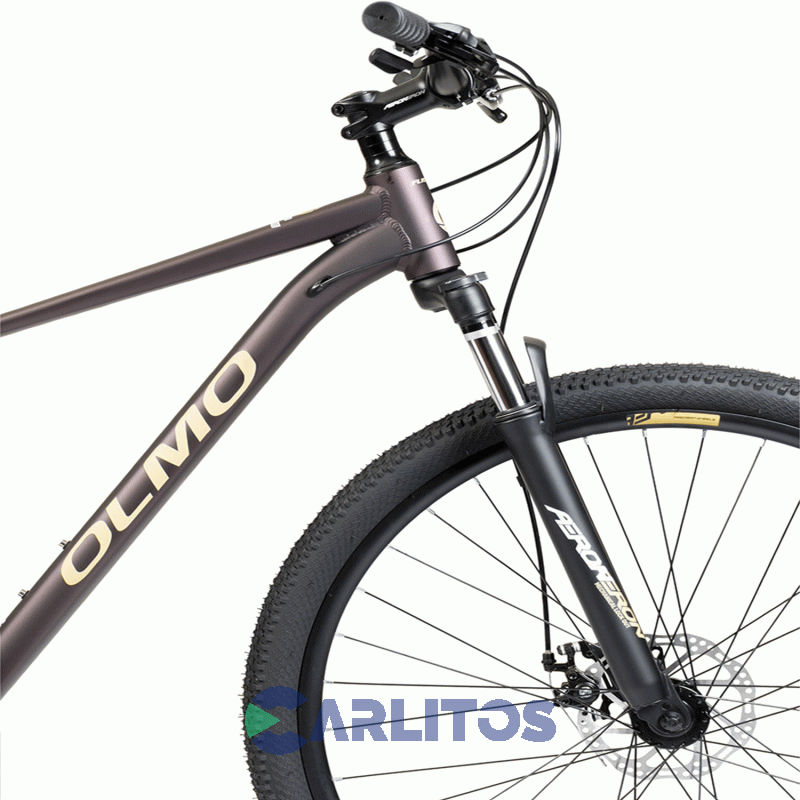 Bicicleta Olmo Todo Terreno Flash 290 R29