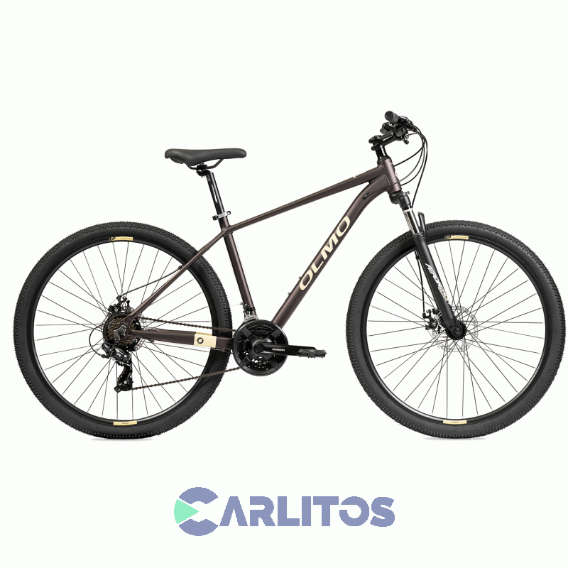 Bicicleta Olmo Todo Terreno Flash 290 R29