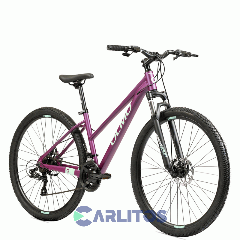 Bicicleta Olmo Todo Terreno R29 Flash 295 1bo1071 Talle 16-Violeta Con Celeste