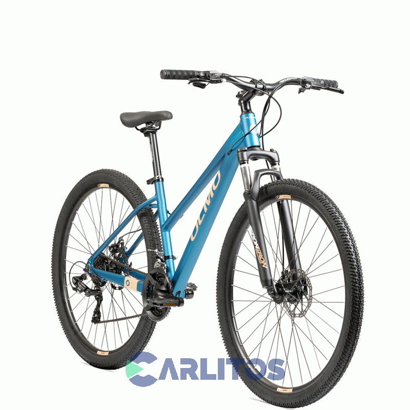 Bicicleta Olmo Todo Terreno R29 Flash 295 1bo1071 Talle 16-Petroleo Con Salmon