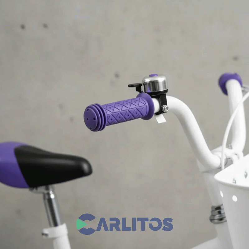Bicicleta Fischer Paseo Love R12