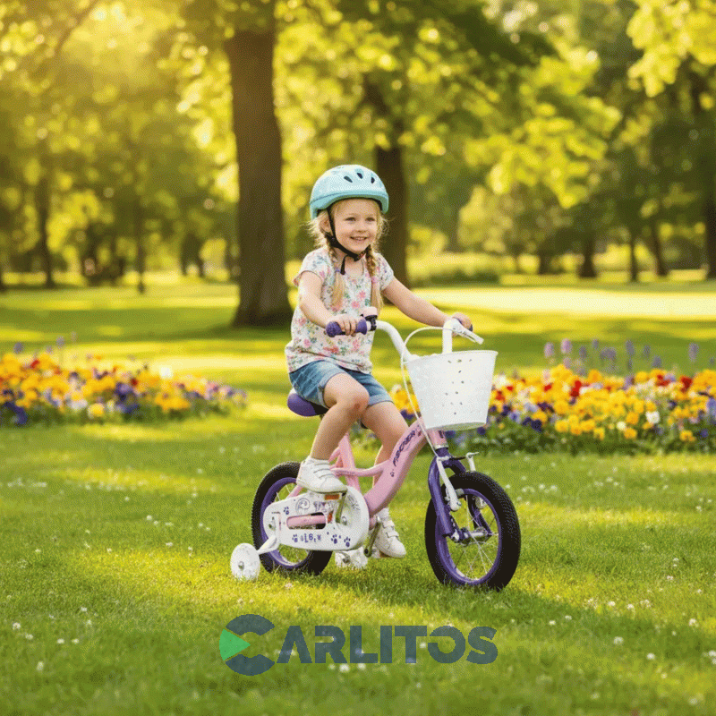 Bicicleta Fischer Paseo Love R12