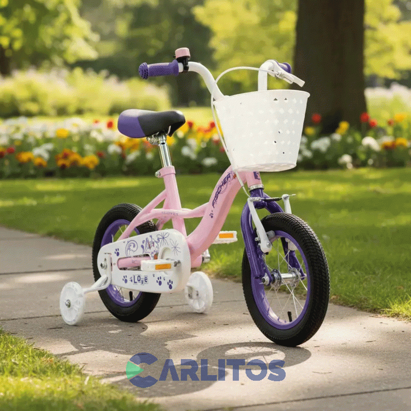 Bicicleta Fischer Paseo Love R12