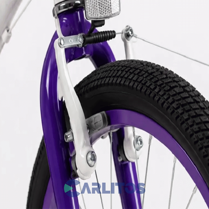Bicicleta Fischer Paseo Tunes R 20