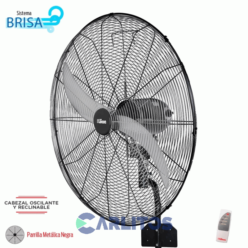 Ventilador De Pared Industrial Liliana 32