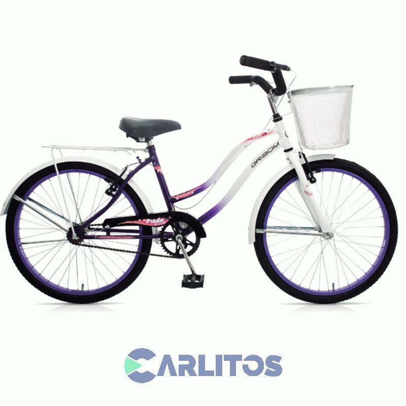 Bicicleta Gribom Urbana Rod.24