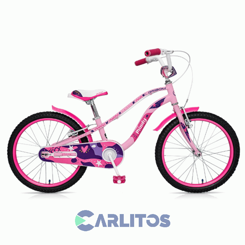 Bicicleta Gribom Paseo R.20